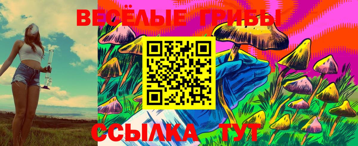 Галлюциногенные грибы ЛСД Изобильный