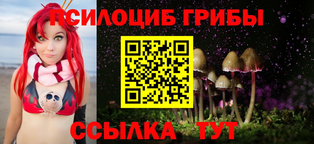 Галлюциногенные грибы Psilocybine cubensis  Псилоцибиновые грибы ЛСД  дарнет шоп  Вход с VPN  Изобильный 